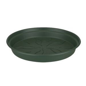 green basics saucer 10cm leaf green