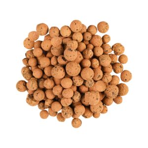 e80272d6b3f622fa00152c9312fc441e